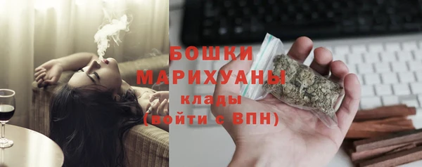 СК Медвежьегорск