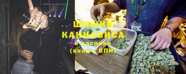 СК Медвежьегорск