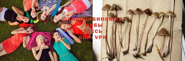 хмурый Магадан